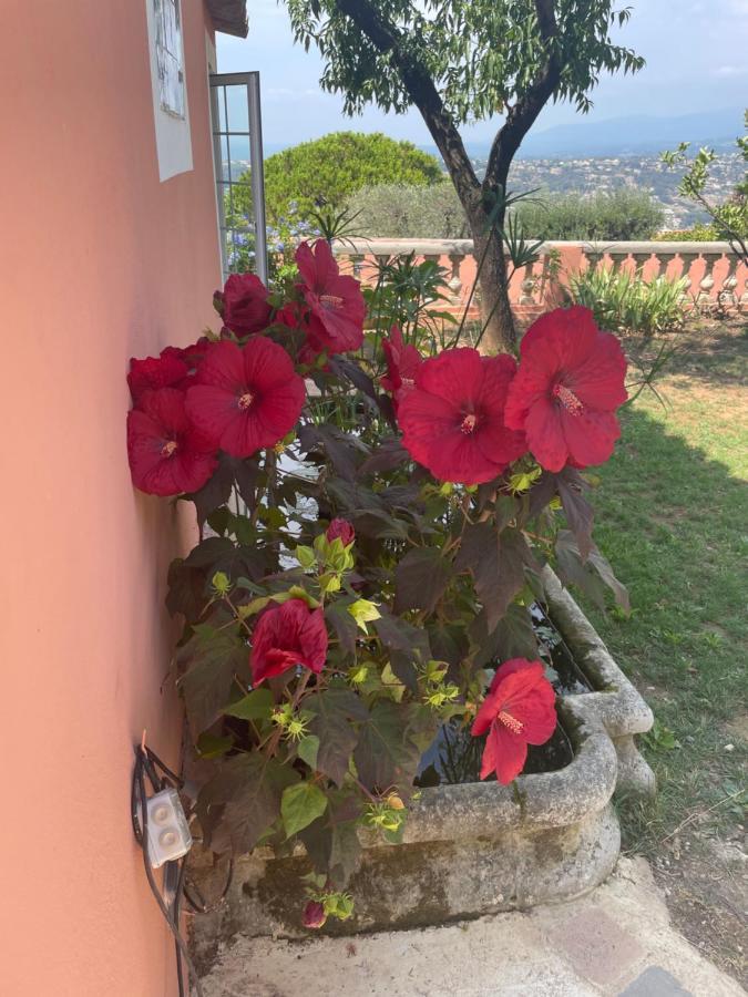 Chambre D'Hotes A L'Ancre Marine De La Villa Rose Ницца Экстерьер фото
